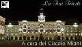 Visti: 2.131
Aggiunto: 13.10.05
.wmv (24.8 MB) Visti: 2.131
Aggiunto: 13.10.05
.wmv (24.8 MB)